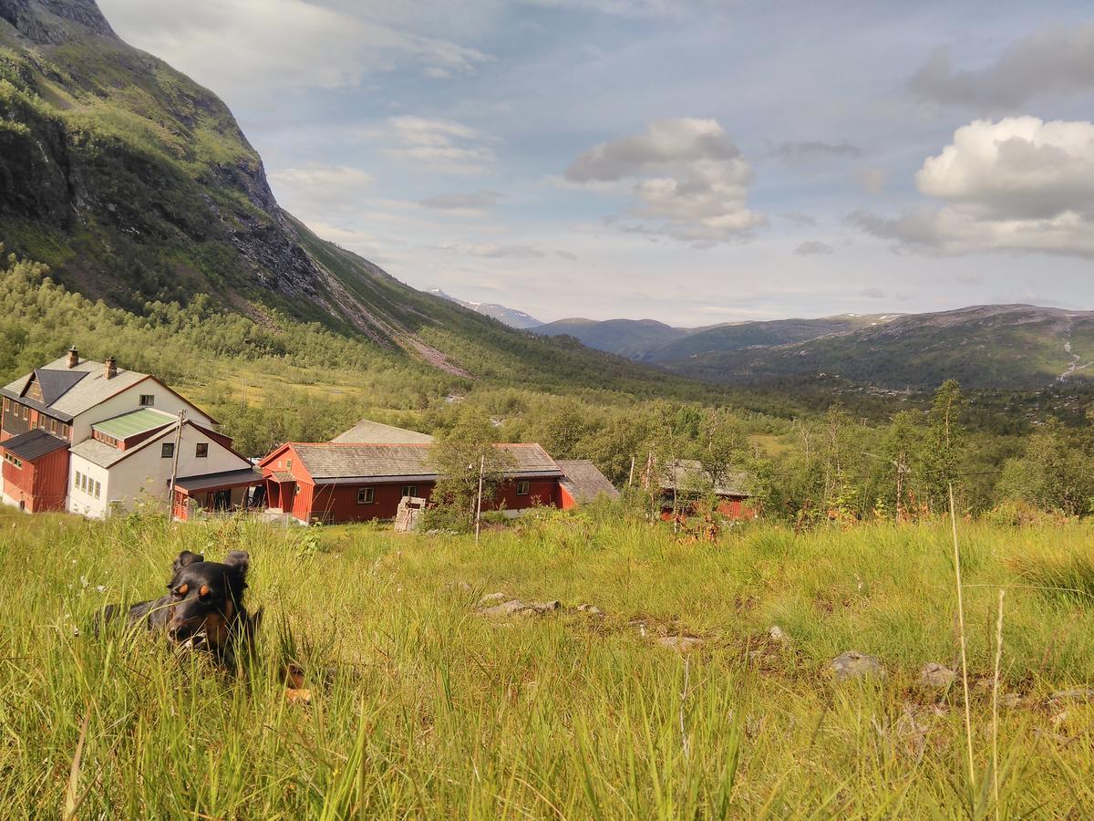 Voss Mountain Lodge Mjolfjell ภายนอก รูปภาพ