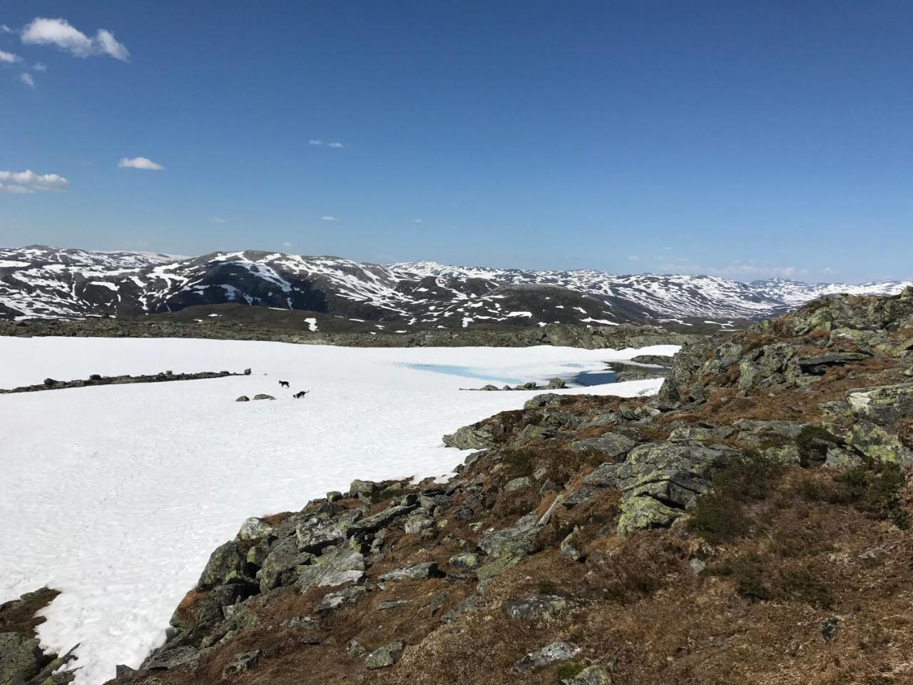 Voss Mountain Lodge Mjolfjell ภายนอก รูปภาพ