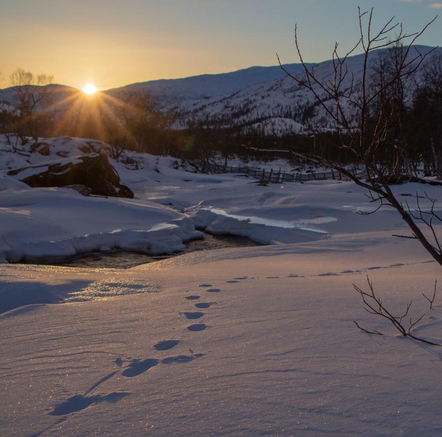 Voss Mountain Lodge Mjolfjell ภายนอก รูปภาพ